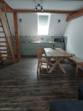 APARTMAJI VITEZ Apartma 4